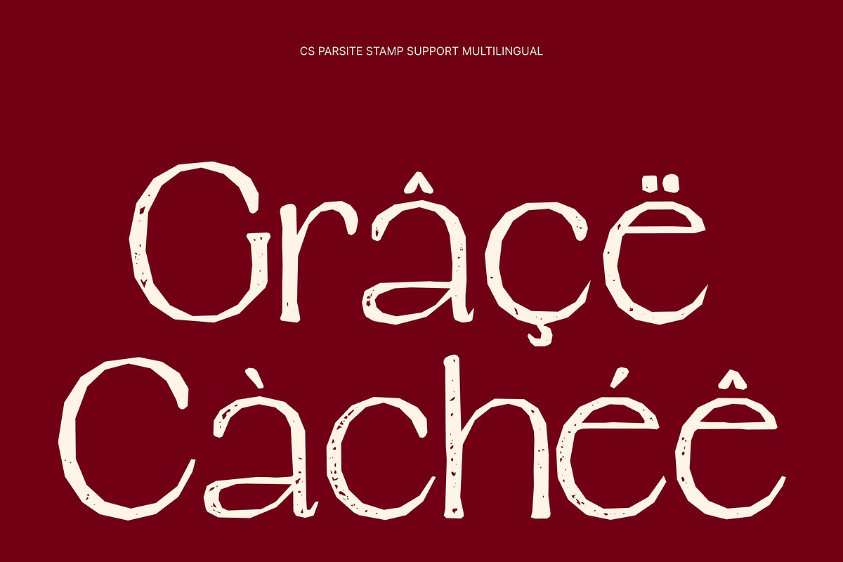 CS Parsite Stamp, a Serif Font by Craft Supply Co. (Photo 7 of 8)