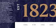 Mestiza, a Serif Font by Lechuga Type (Thumbnail 3 of 16)