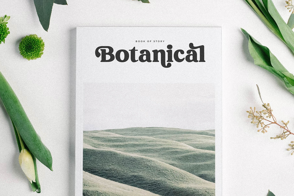 Regisha Modern Retro Serif Font, a Serif Font by Storytype Studio (Photo 11 of 15)