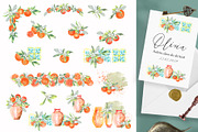 Watercolor Oranges, an Illustration by JennyColorArt (Thumbnail 7 of 13)