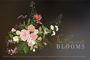The Somerset Blooms - Clip Arts Set, an Illustration by SmallHouseBigPony (Thumbnail 2 of 9)