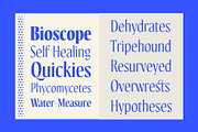 Kiester - Variable Display, a Sans Serif Font by Adam Fathony (Thumbnail 5 of 15)