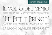 Artica Rough Pro, a Sans Serif Font by Green Type (Thumbnail 2 of 5)