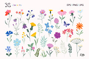 Meadow flowers collection, an Illustration by Letto studio (Thumbnail 6 of 7)