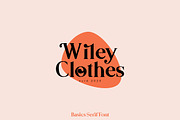Basics Serif Font - 30% OFF, a Serif Font by Youthlabs Studio (Thumbnail 16 of 25)