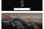 Copperhead Wordpress Theme, a WordPress Template by Made in Cardiff (Thumbnail 3 of 3)