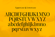 Jarekuh, a Serif Font by Differentialtype (Thumbnail 7 of 10)