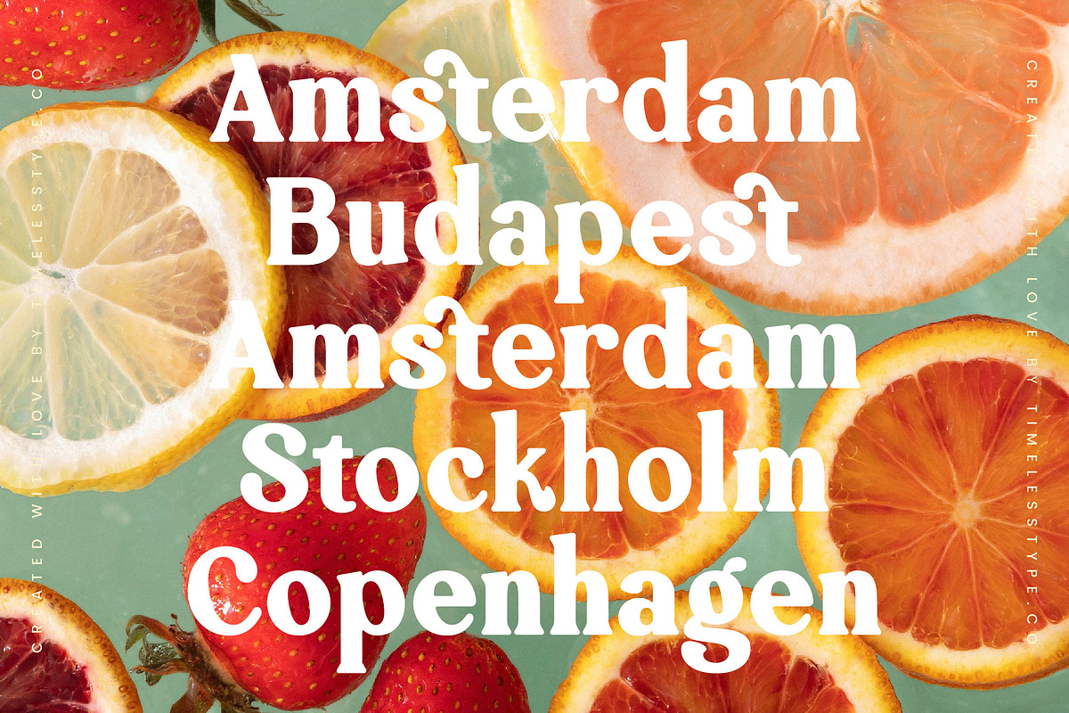 Jackets Region Retro Serif Font, a Serif Font by timelesstype.co (Photo 5 of 20)