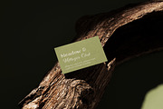 Meadow & Villager Club - Font Duo, a Handwritten Font by Lettertype Studio (Thumbnail 8 of 14)