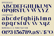Titanium Galleries Luxury Serif Font, a Serif Font by 177Studio (Thumbnail 7 of 8)