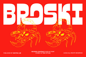 Broski - Contras Display Sans Font