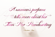 Ambergris Script, a Script Font by FHFont (Thumbnail 6 of 10)