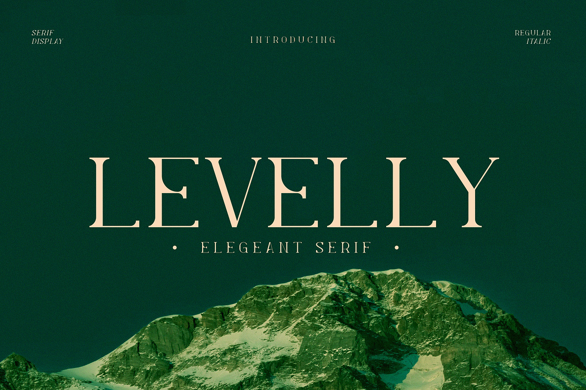 Levelly Luxury Premium Serif Font, a Serif Font by Artiveko (Photo 7 of 9)