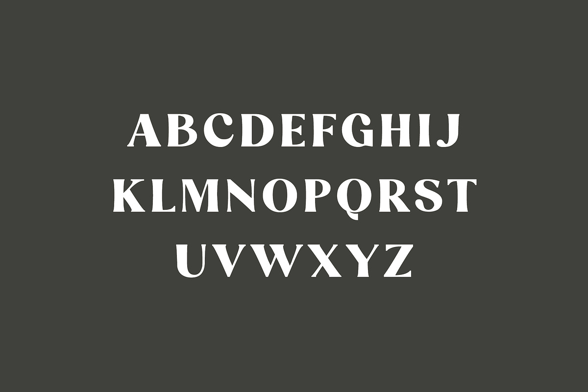 Danilo Catalina Classic Serif Font, a Serif Font by UICreative (Photo 2 of 11)