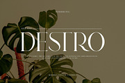 DESTRO Ligature Serif Font, a Serif Font by Humaira_std (Thumbnail 1 of 8)