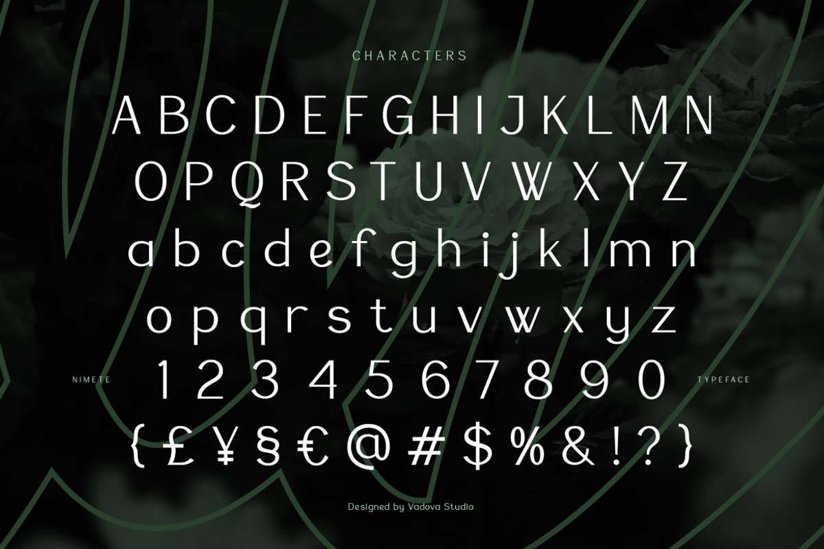 Nimete – Elegant Modern Sans Serif, a Sans Serif Font by Vadovastd (Photo 7 of 7)