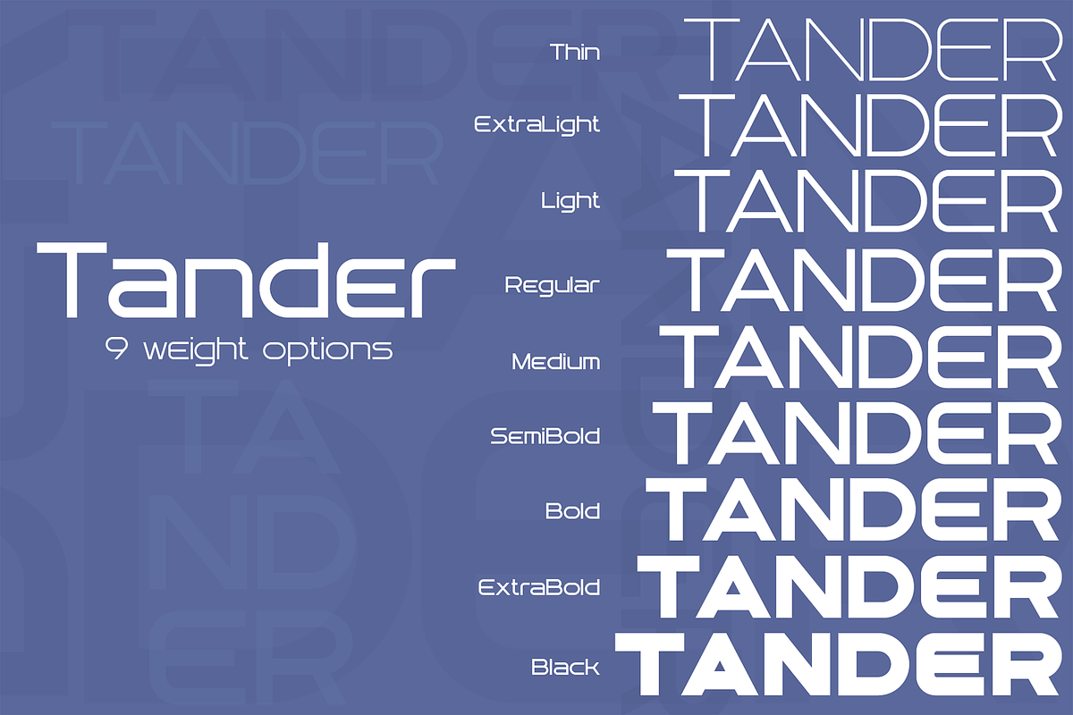 Tander font family, a Sans Serif Font by vlad.berla (Photo 2 of 7)
