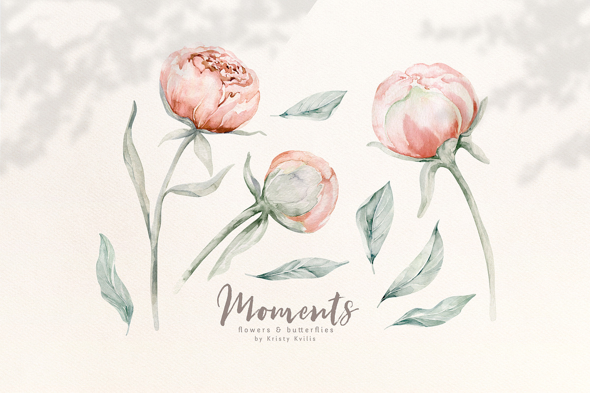 Watercolor peonies and butterflies, an Animal Illustration by Peace ART (Photo 3 of 14)