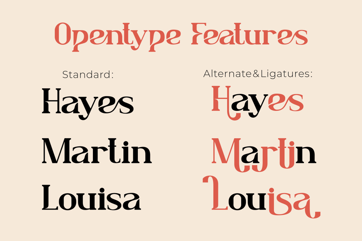 Lafonsa - Stylistic Serif Font, a Sans Serif Font by PutraCetol Studio (Photo 7 of 13)