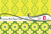 Lemon Mint Digital Paper Pack, a Pattern Graphic by InkBite Designs (Thumbnail 3 of 4)