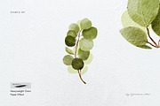 15 Procreate Watercolor Brushes, a Brush Add-On by Jenteva Art (Thumbnail 11 of 13)
