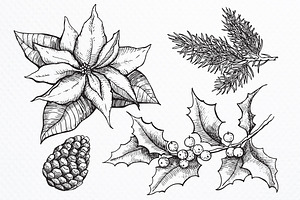 Hand Drawn Christmas Plants.