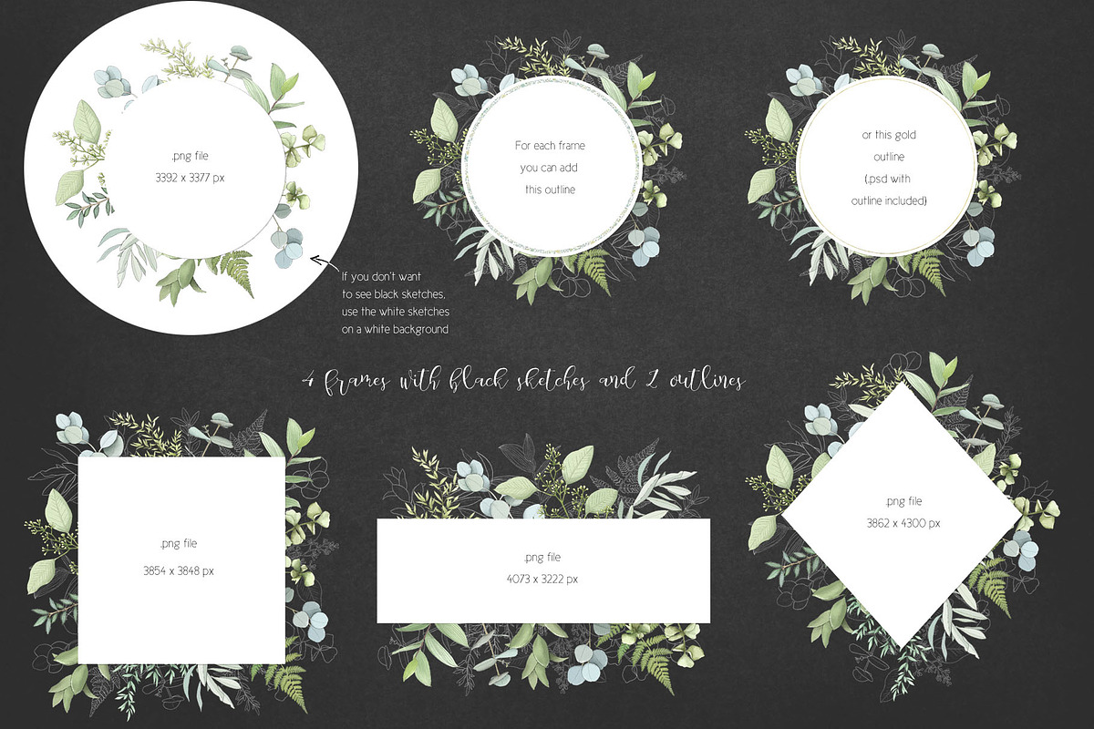 Fresh greenery frames and patterns, a Decorative Illustration by marie dricot (Photo 3 of 16)