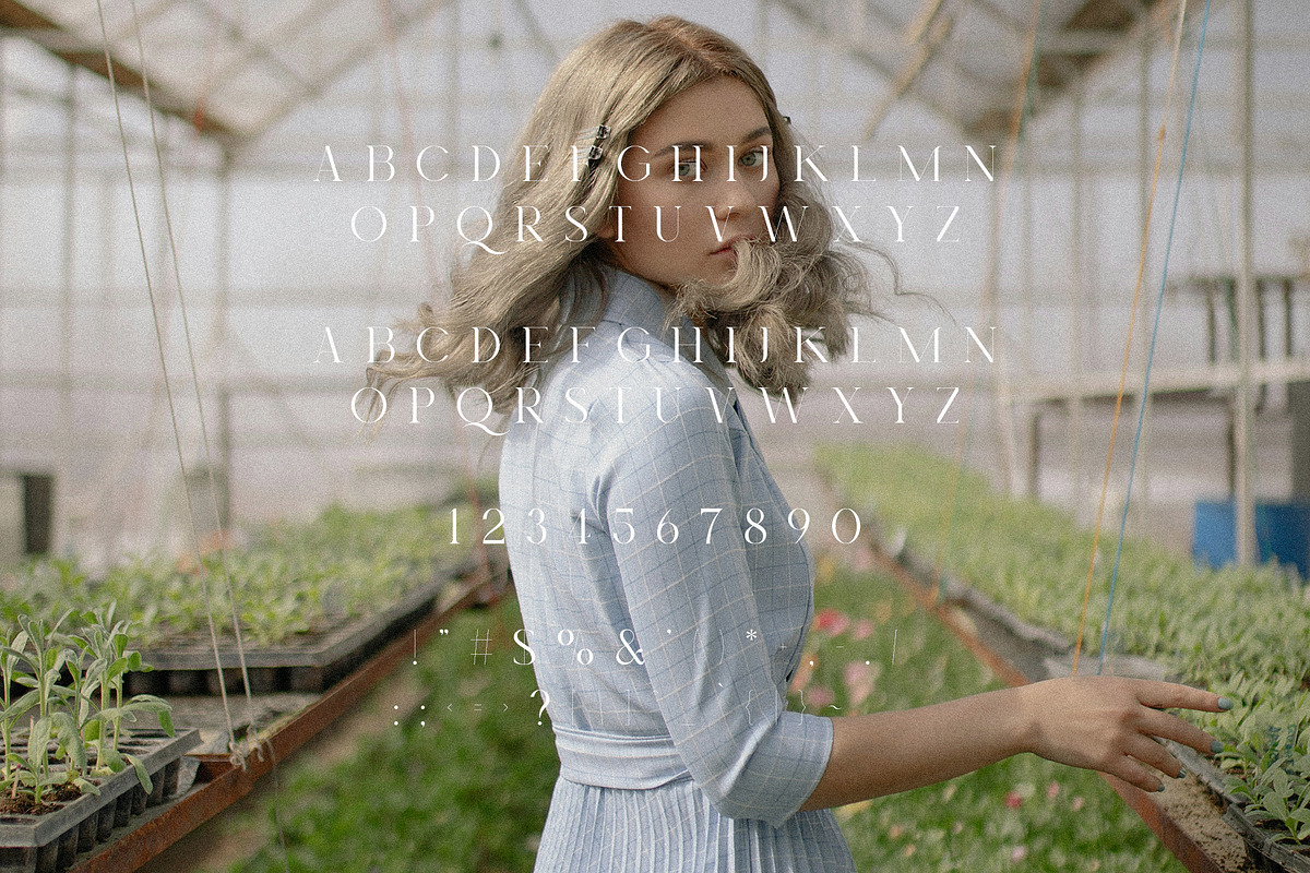 Royal Garden - Unique Semi Serif, a Serif Font by Schrifted Type (Photo 7 of 8)