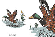 Illustration Duck Nature, an Animal Illustration by kalehstudio (Thumbnail 1 of 3)