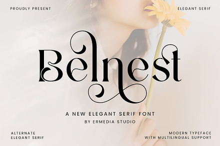Belnest Serif Font, a Serif Font by Ermedia Studio