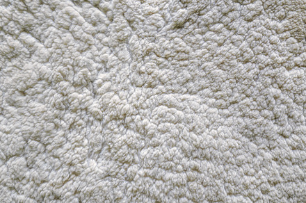 White wool sheep hair texture containing wool, texture, and sheep, an Abstract Photo by Casanowe-studio
