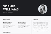 Resume, a Resume Template by UX-group (Thumbnail 4 of 5)