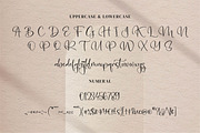 Aleani, a Script Font by Integritype Studio (Thumbnail 9 of 15)