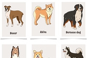 Dogs breeds printable cards, a Card Template by svetodesign (Thumbnail 3 of 4)