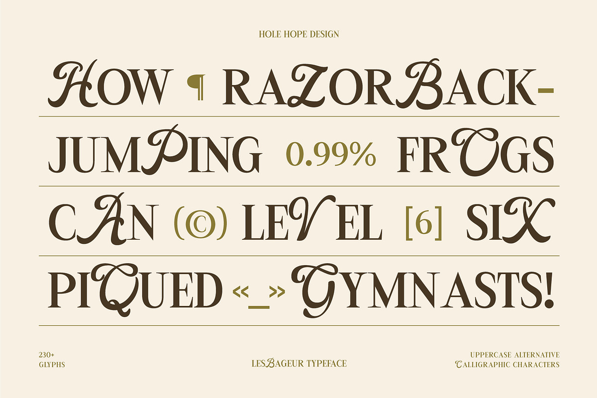 LesBageur | Calligraphic Serif Font, a Serif Font by Hole Hope Design (Photo 2 of 10)