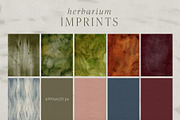 Botanical Imprints: Floral & Paper, an Object Graphic by Yuliya Derbisheva (Thumbnail 10 of 10)