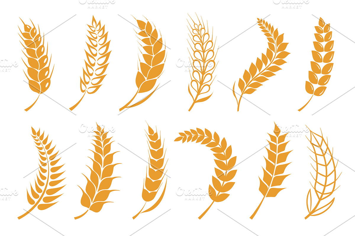 Wheat grain icons. Curved ears, an Object Illustration by Vectorbuum