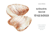Hand Drawn Sfogliatella Dessert, a Food Illustration by Kolorata Art (Thumbnail 1 of 3)