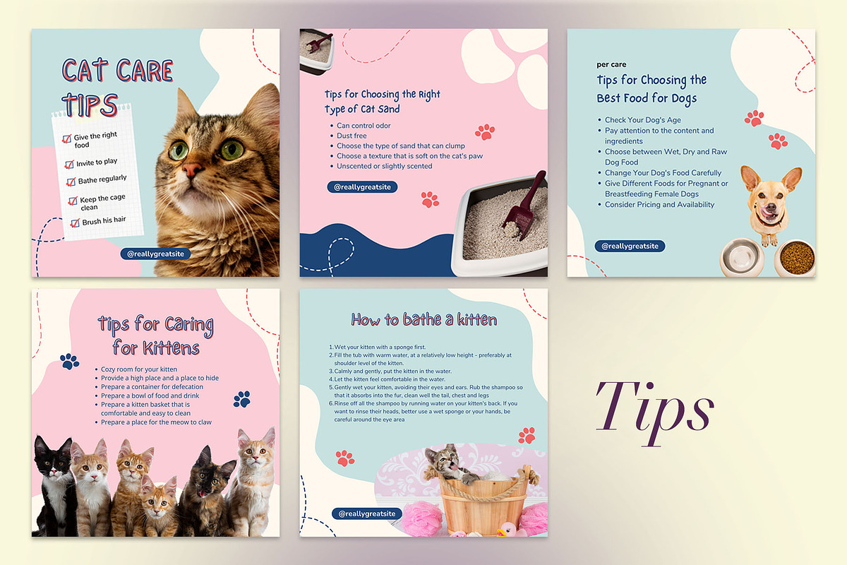 Pet Shop Instagram | CANVA Template, a Social Media Template by Azruca (Photo 12 of 17)