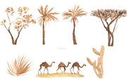 Desert. Watercolor poster set, a Decorative Illustration by Love Watercolor Store (Thumbnail 3 of 7)