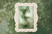 Understory Organic Backgrounds, a Background Graphic by alonahaidash (Thumbnail 7 of 15)