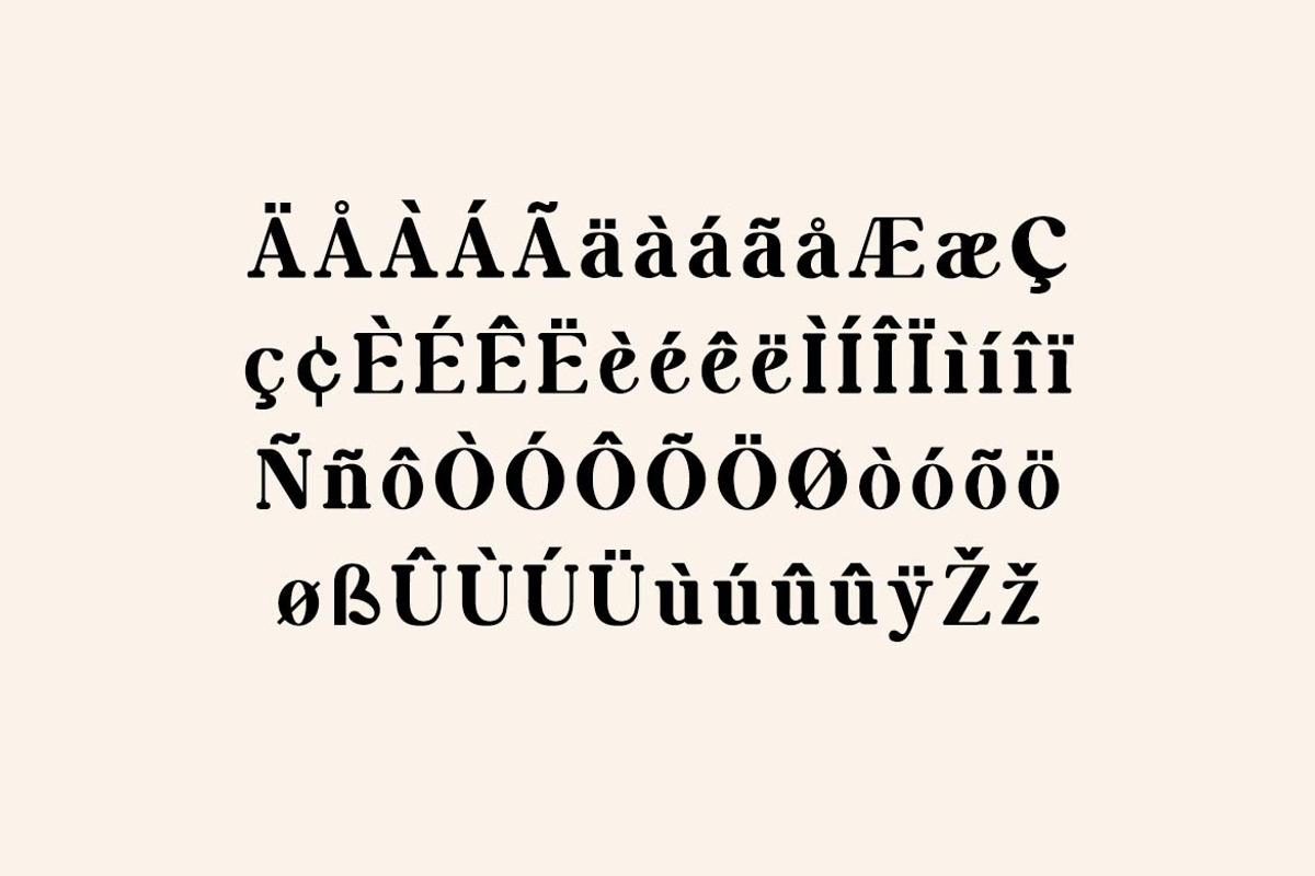 Antigravity Vintage Serif Typeface, a Serif Font by UICreative (Photo 8 of 13)