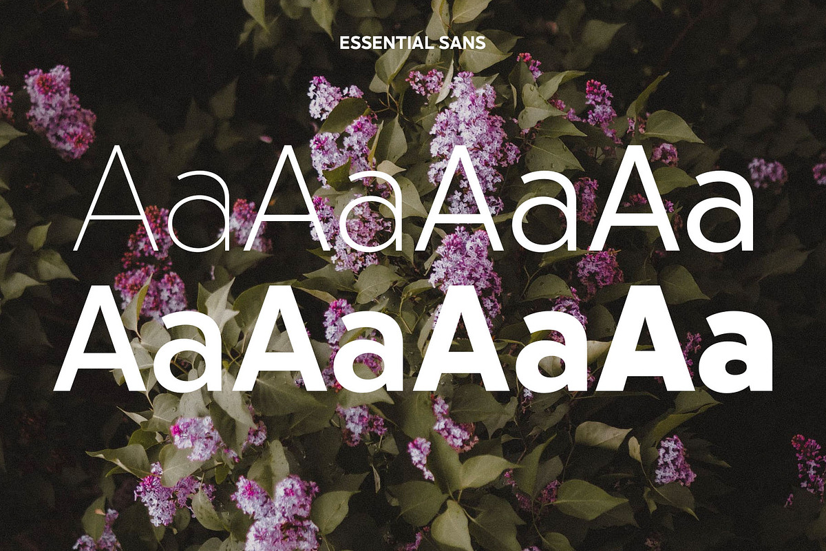Essential Sans | 16 Font Typeface, a Sans Serif Font by Jen Wagner Co (Photo 20 of 22)