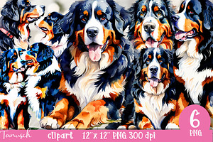 watercolor bernese mountain clipart