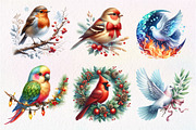 Christmas Birds Clipart, an Illustration by Dream Creation (Thumbnail 5 of 7)