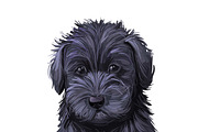 Dogs Cross Breeds 56 Animals Bundle, an Animal Illustration by Dneprstock (Thumbnail 38 of 55)