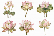 Watercolor Lotus Clipart, an Illustration by Libby Wishes (Thumbnail 2 of 7)