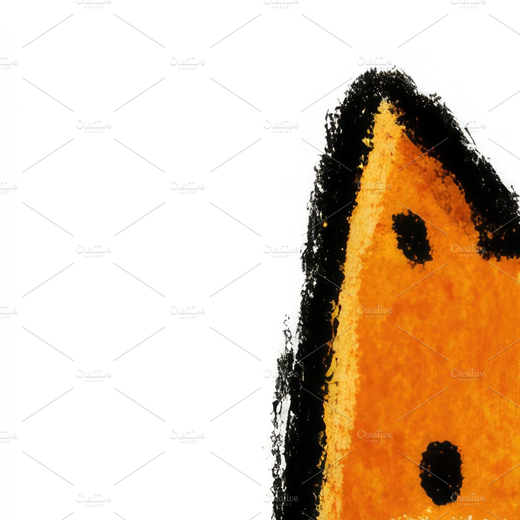 Cute red fox doodle illustration for children, an Animal Photo by José Manuel Gelpi