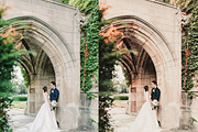 MOODY WEDDING VIDEO LUTS, a Plug-in Add-On by FOXIMIDesign (Thumbnail 2 of 7)