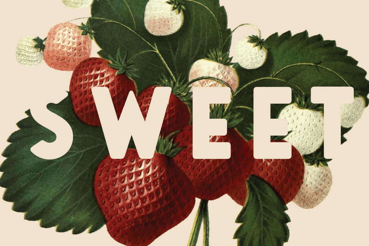 Saveur Sans Round preview 8